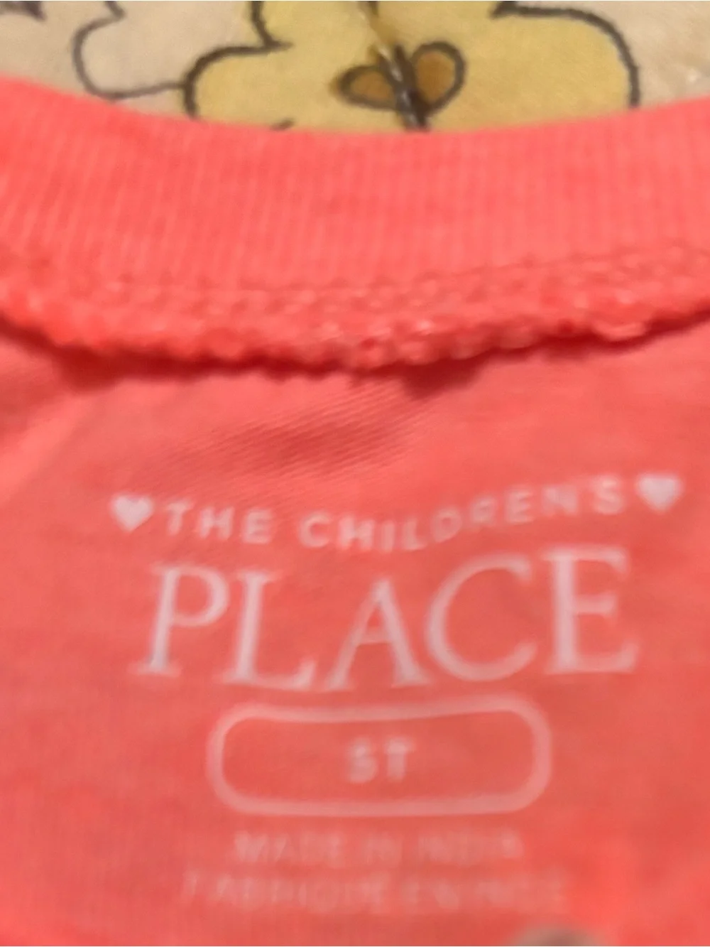 The Children's Place girls size 5t lot of 2 tops